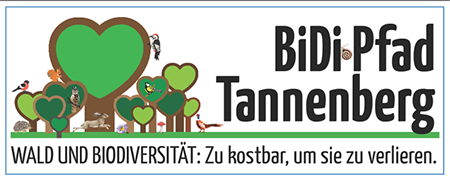 Biodiversitätspfad am Tannenberg, Singen mit Führung (W1)